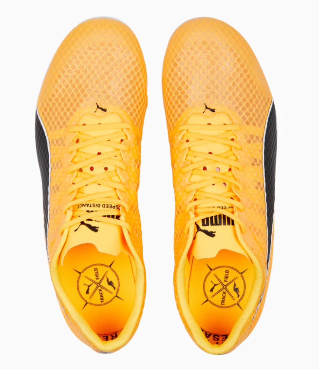 PUMA evoSPEED Distance 11