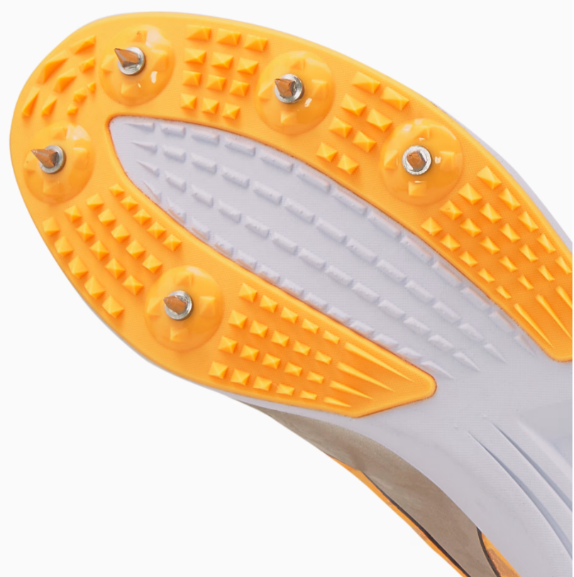 PUMA evoSPEED Distance 10