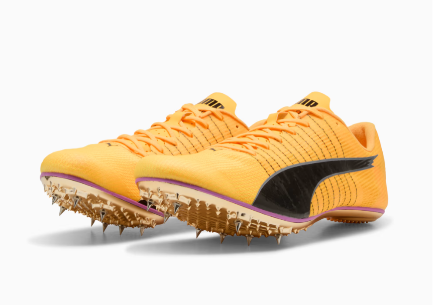 PUMA evoSPEED BRUSH 6 (Magenta Black)