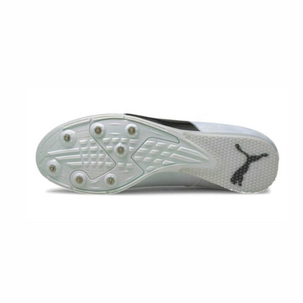 PUMA evoSPEED Triple Jump/Pole Vault - STRIDE HAUS