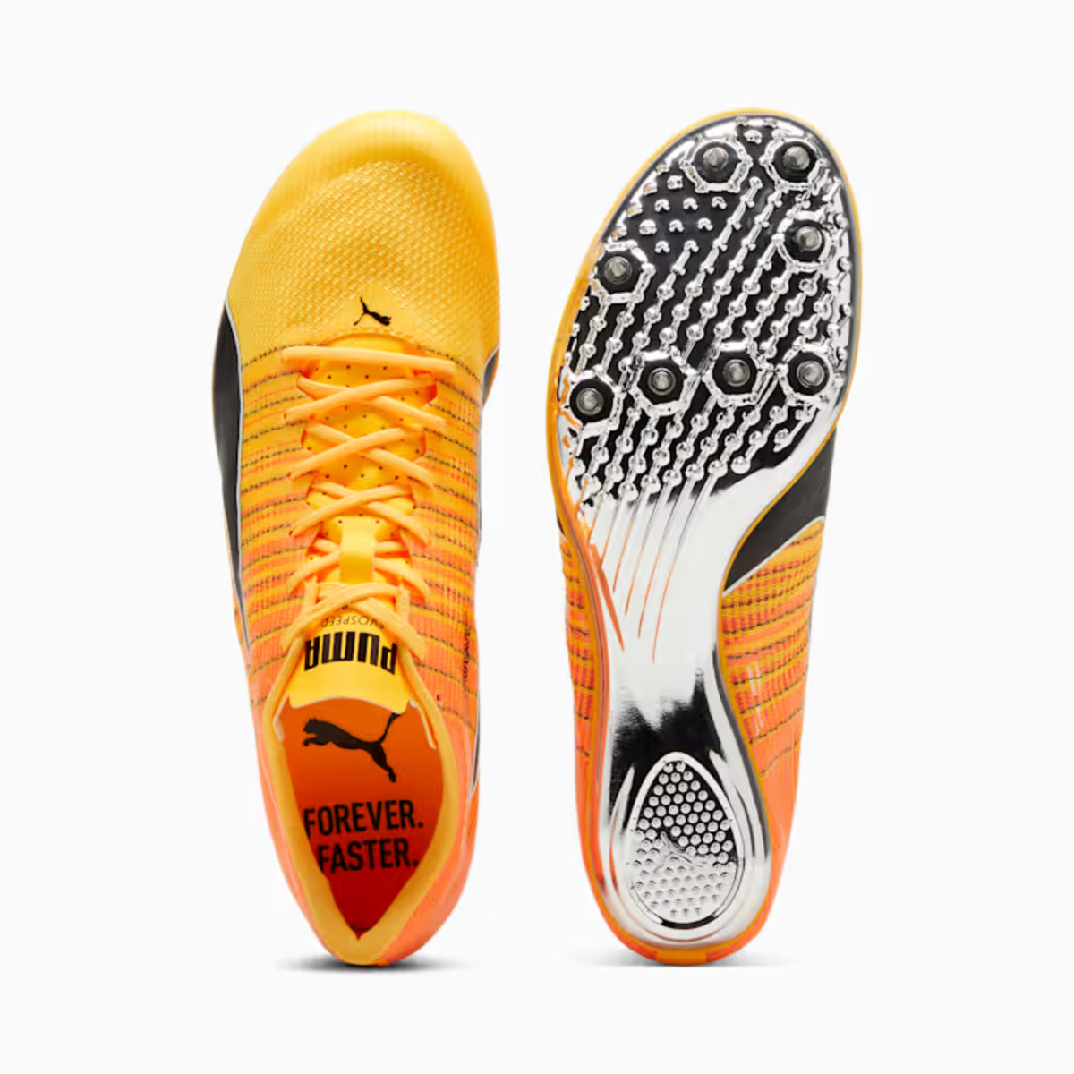 PUMA evoSPEED BRUSH 6 (Glow Black) - STRIDE HAUS