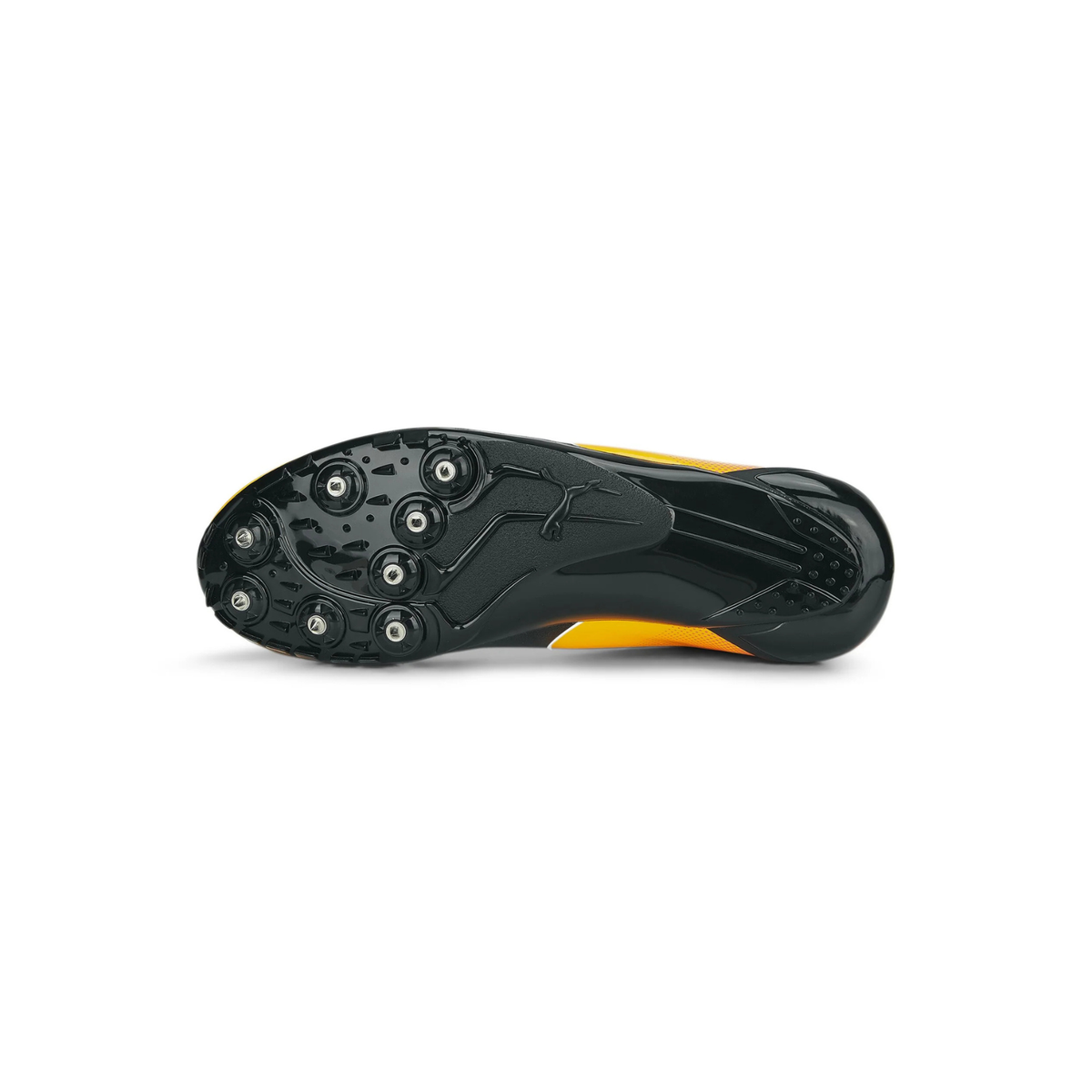 PUMA evoSPEED PREP Sprint 3 - STRIDE HAUS