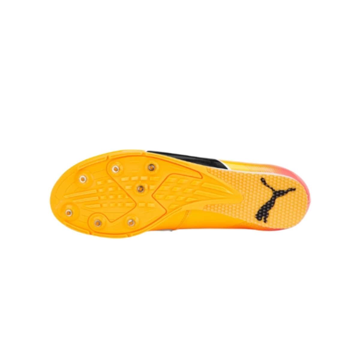 PUMA evoSPEED Long Jump 10 - STRIDE HAUS