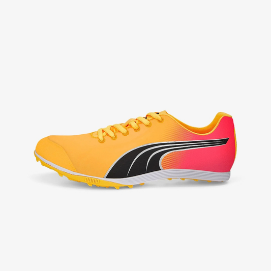 PUMA evoSPEED Crossfox 4