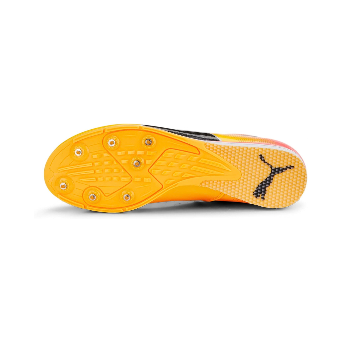 PUMA evoSPEED Triple Jump 10 - STRIDE HAUS
