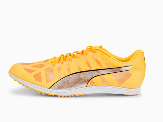 PUMA evoSPEED Distance 10