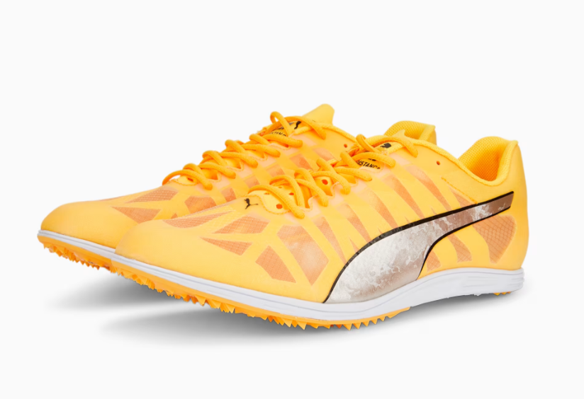 PUMA evoSPEED Distance 10
