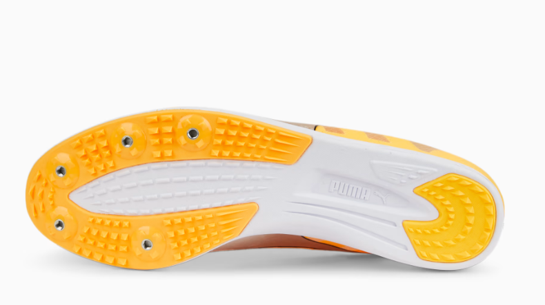 PUMA evoSPEED Distance 10