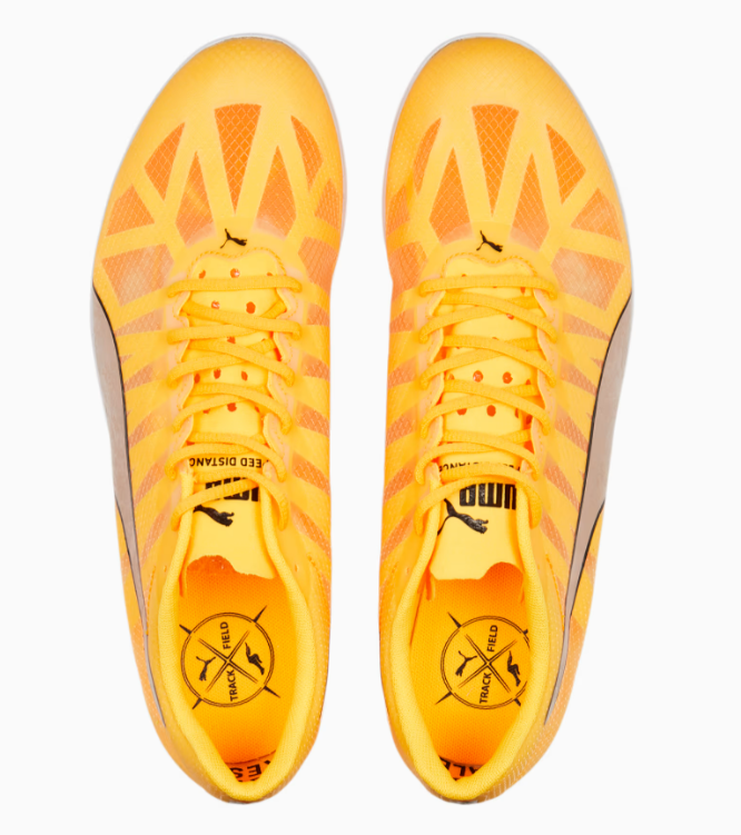 PUMA evoSPEED Distance 10