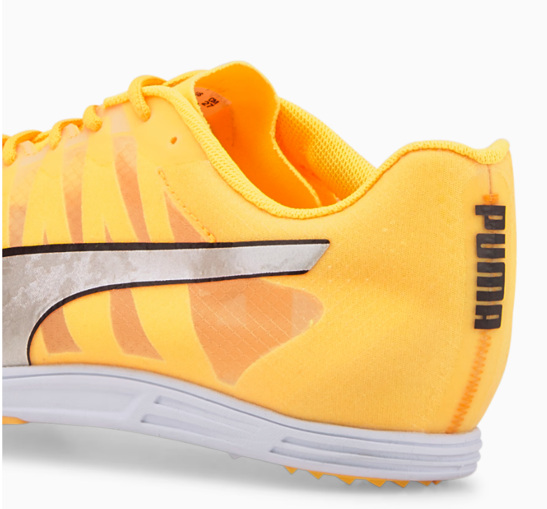 PUMA evoSPEED Distance 10