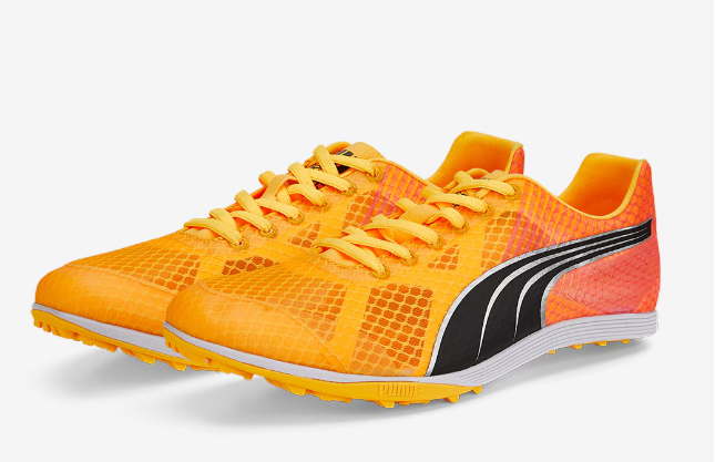 PUMA evoSPEED Crossfox 4