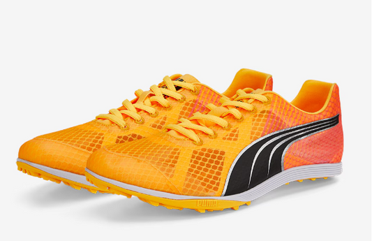 PUMA evoSPEED Crossfox 4