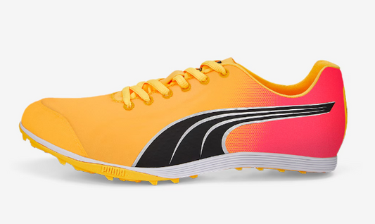 PUMA evoSPEED Crossfox 4