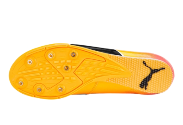 PUMA evoSPEED Long Jump 10