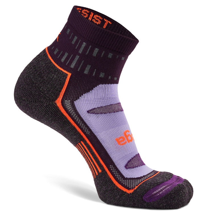 BALEGA Blister Resist Quarter Midnight Plum