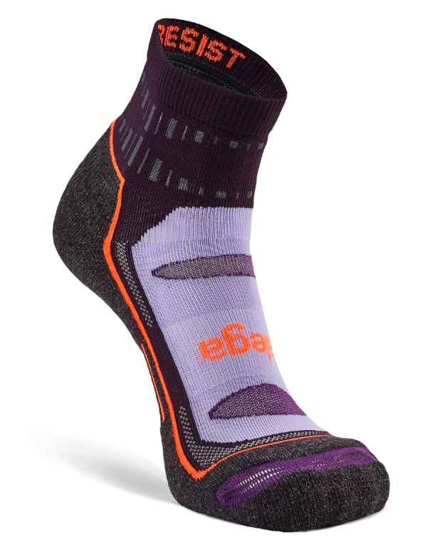 BALEGA Blister Resist Quarter Midnight Plum