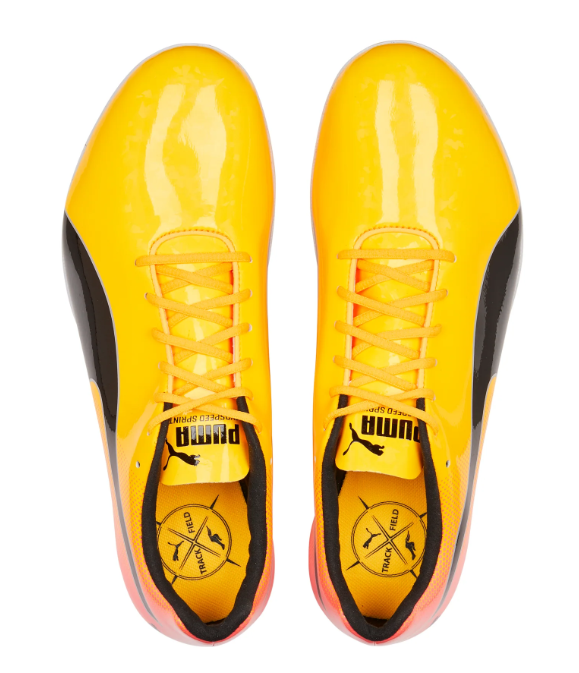 PUMA evoSPEED Electric 13 (Sunset Glow)