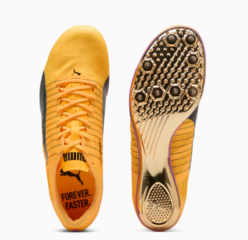 PUMA evoSPEED BRUSH 6 (Magenta Black)