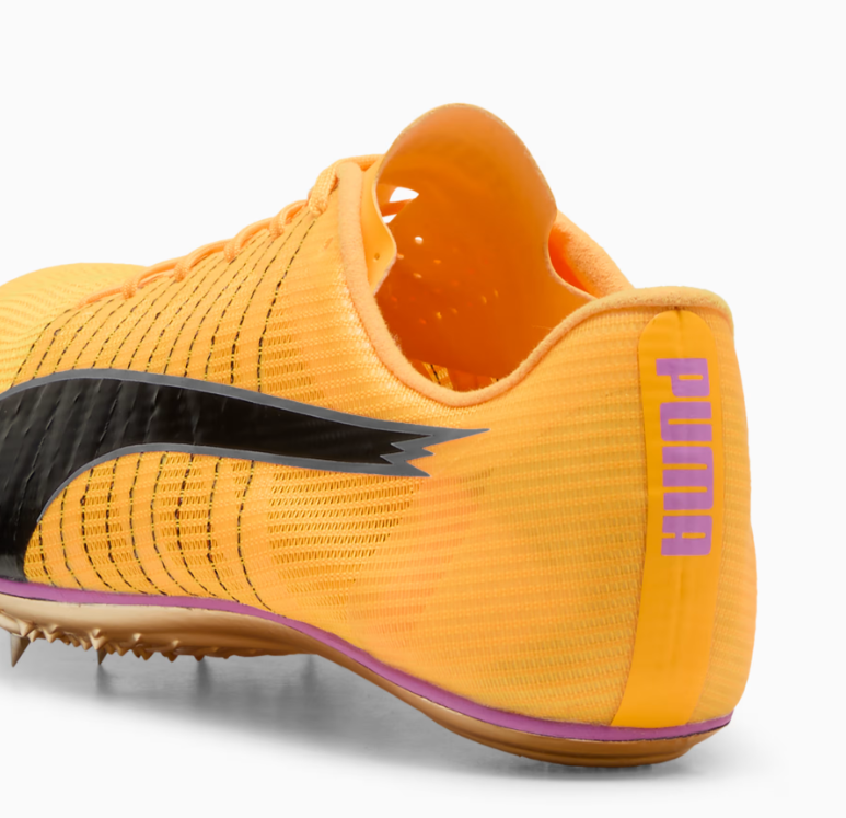 PUMA evoSPEED BRUSH 6 (Magenta Black)