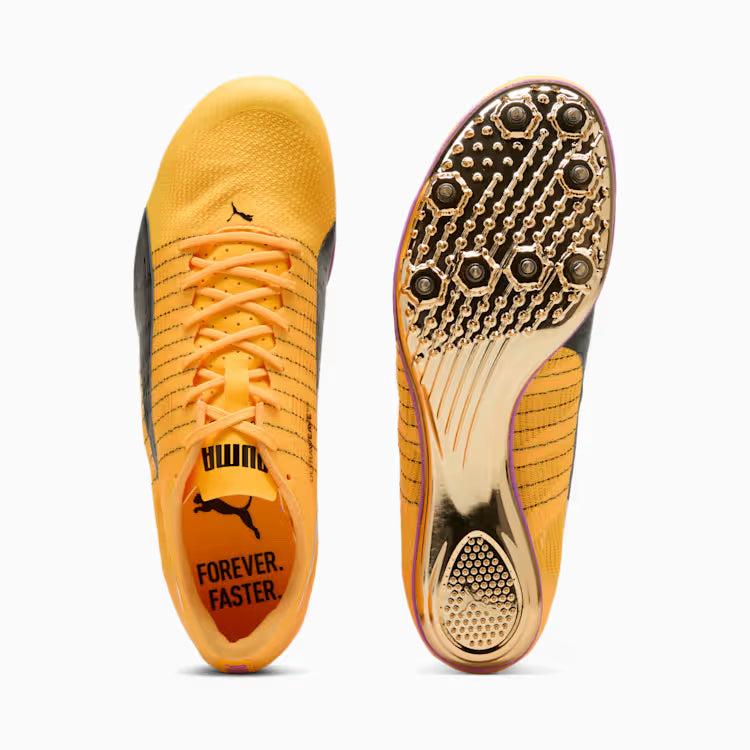 PUMA evoSPEED BRUSH 6 (Magenta Black) - STRIDE HAUS
