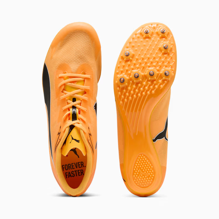 PUMA evoSPEED BRUSH 7 (Sunstream  Black Pure Magenta)