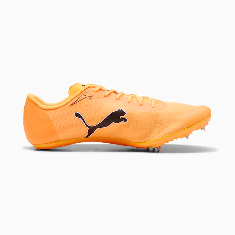 PUMA evoSPEED BRUSH 7 (Sunstream  Black Pure Magenta)